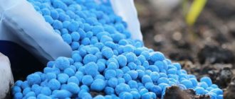 Ошибки при использовании минеральных удобрений