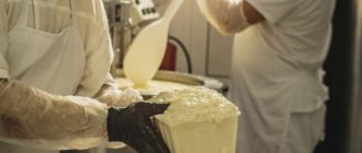 Сам себе сыровар: современные онлайн-курсы для новичков