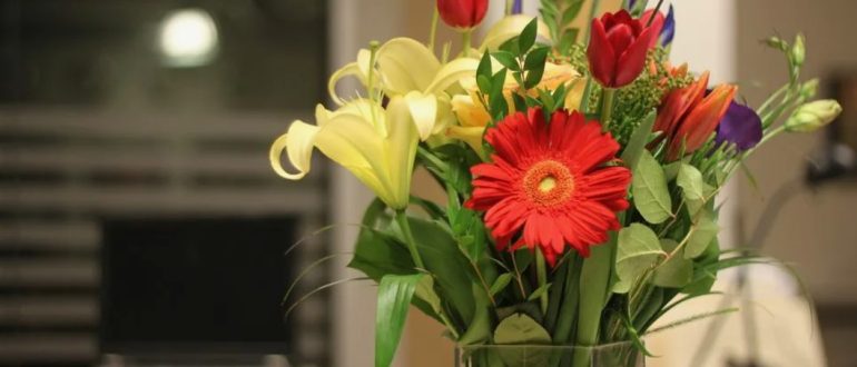 Какие цветы лучше всего подходят для сюрпризов «в офис»