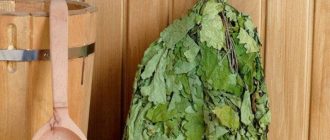 Дубовый веник или березовый: какой веник выбрать для первого похода в парную
