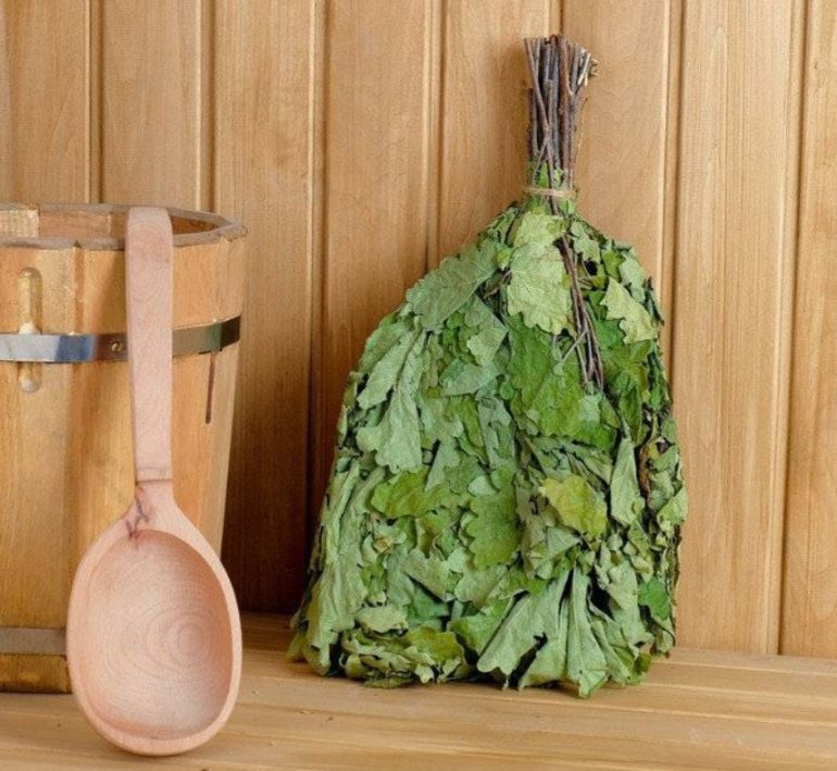 Дубовый веник или березовый: какой веник выбрать для первого похода в парную