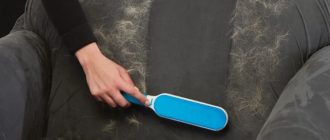 Убираем шерсть с мебели: какие средства действительно работают