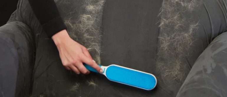 Убираем шерсть с мебели: какие средства действительно работают