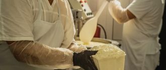 Сам себе сыровар: Современные онлайн-курсы для новичков.