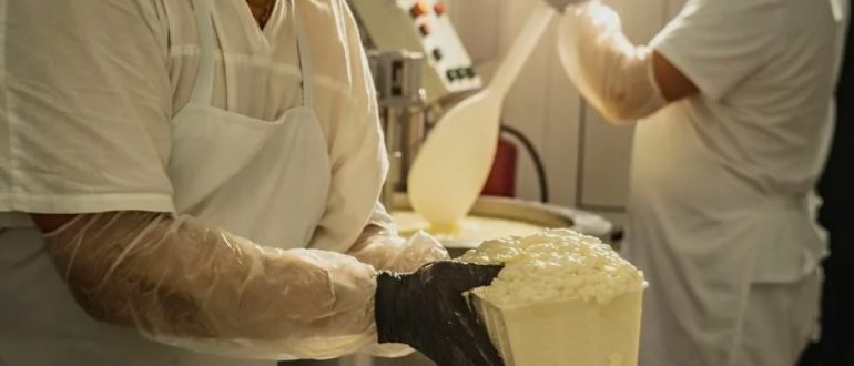 Сам себе сыровар: Современные онлайн-курсы для новичков.