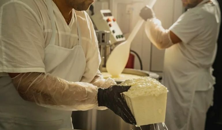 Сам себе сыровар: Современные онлайн-курсы для новичков.