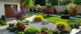 Компактный сад на 6 сотках: какие деревья и кустарники выбрать, чтобы было красиво круглый год