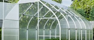 Парник из поликарбоната: виды, размеры и цены