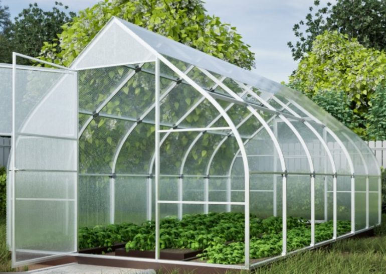Парник из поликарбоната: виды, размеры и цены